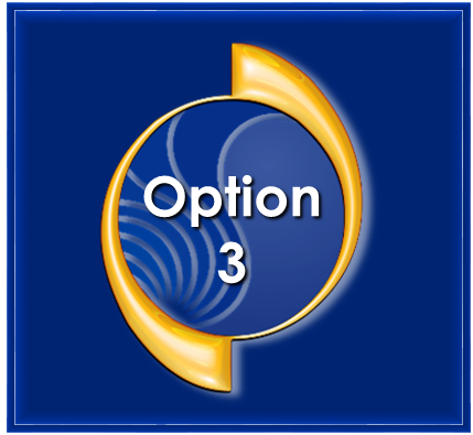 option 3 - contact