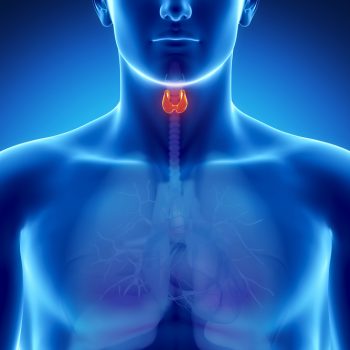 Thyroid Health